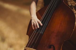 Cours de Contrebasse : Archet, Pizzicato et Jazz