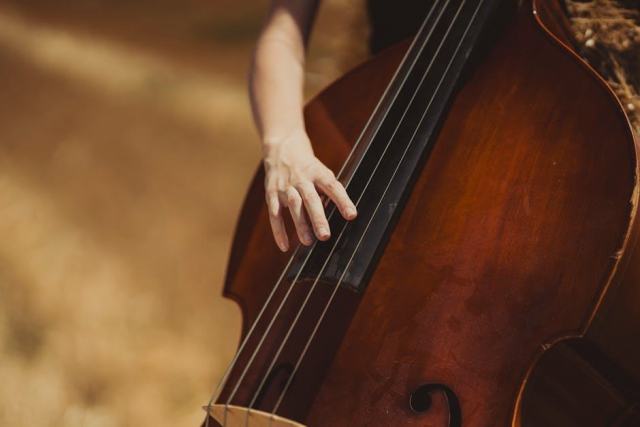 Apprendre la contrebasse : archet classique ou pizzicato jazz