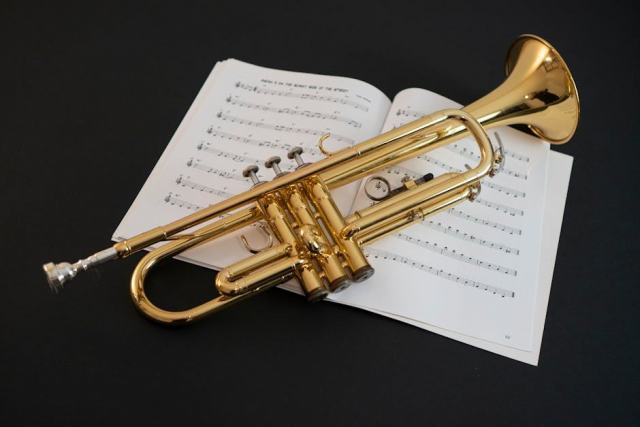 Apprendre le saxophone : anche, embouchure et premiers doigtés Apprendre le saxophone : anche, embouchure et premiers doigtés